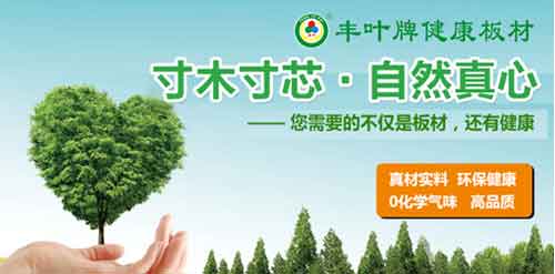 豐葉板材品牌，釋放健康新力量
