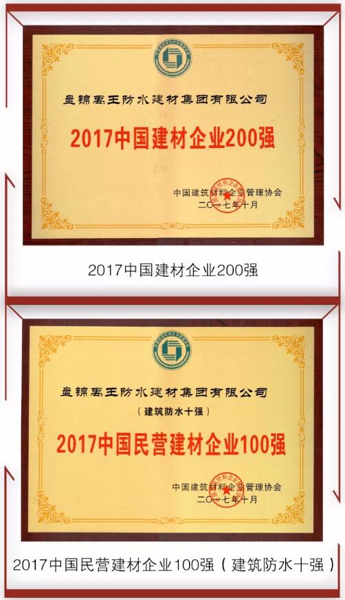 防水材料品牌榮譽|禹王集團(tuán)榮獲中國建材企業(yè)200強(qiáng)等