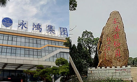 品牌大事|中銳梅開二度勢(shì)如破竹，福州廈門連開大單