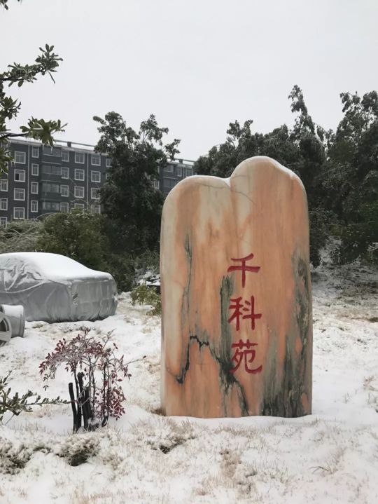 千科潘遠宏：智能產(chǎn)品、智慧營銷一手抓，智能終端是品牌最后浪潮