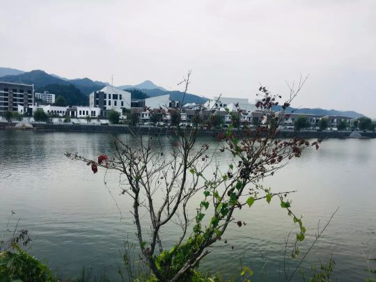 火星人集成灶銷售部9月績(jī)溪會(huì)議：我們是最棒的團(tuán)隊(duì)！