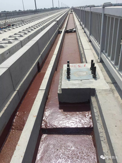 品牌案例|蜀羊防水為城市建設(shè)品質(zhì)助力，領(lǐng)跑城市發(fā)展