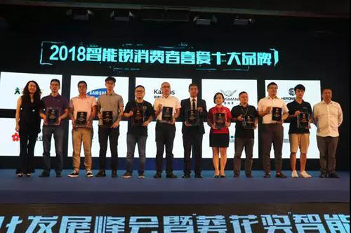 品牌榮譽|羅曼斯智能鎖斬獲行業(yè)“奧斯卡”兩項大獎！