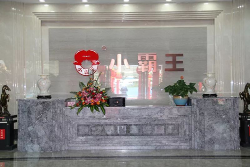小霸王壁掛爐：三駕馬車（產(chǎn)品、技術(shù)、服務(wù)）助力前行
