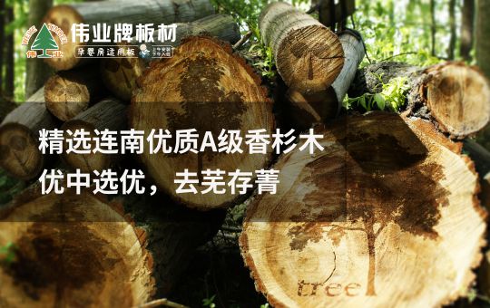 品牌發(fā)展|偉業(yè)牌板材25年匠心制造，中國板材C位品牌
