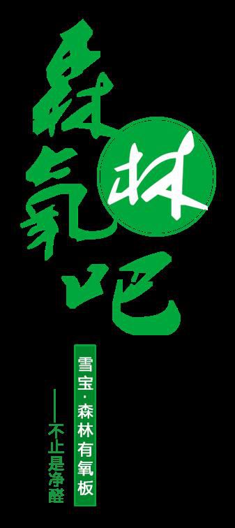 品牌產(chǎn)品|雪寶森林有氧板，有效釋放負氧離子長達15年