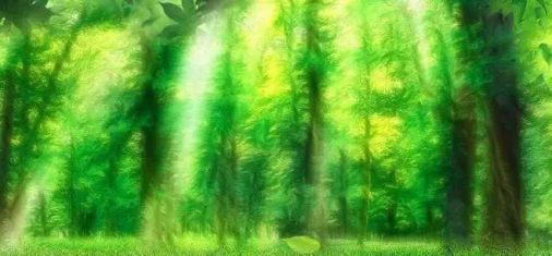 品牌產(chǎn)品|雪寶森林有氧板，有效釋放負氧離子長達15年