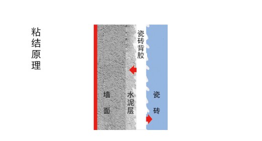 瓷磚背膠粘與不粘，不能作為產(chǎn)品好壞及產(chǎn)品質(zhì)量的依據(jù)
