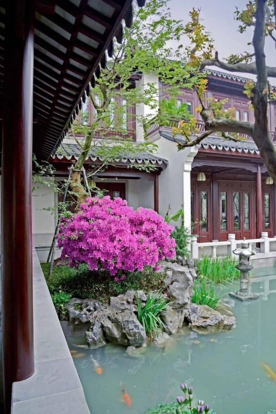 方寸之間，盡顯風(fēng)華！三宅門窗自成詩(shī)畫意境