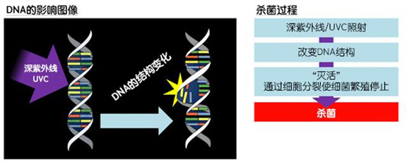 消費(fèi)者開始關(guān)注到車載空氣凈化器，原來如此重要
