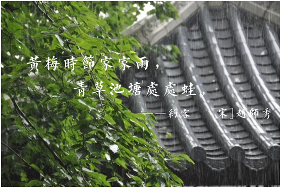 蒙蒂尼不銹鋼櫥柜，讓廚房告別梅雨季